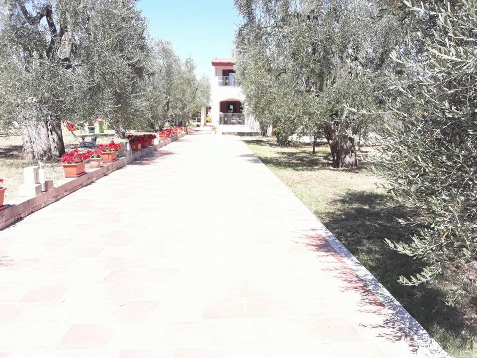 Bed and Breakfast Borgo Cerasa Вьесте Экстерьер фото