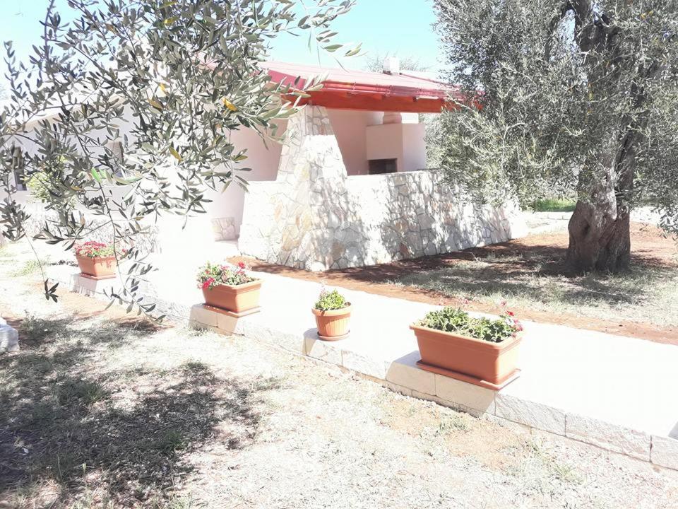 Bed and Breakfast Borgo Cerasa Вьесте Экстерьер фото